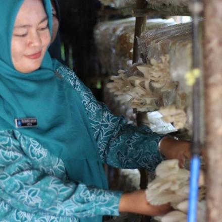 PKK Desa Takuti Berdayakan Masyarakat melalui Pelatihan Budidaya Jamur Tiram