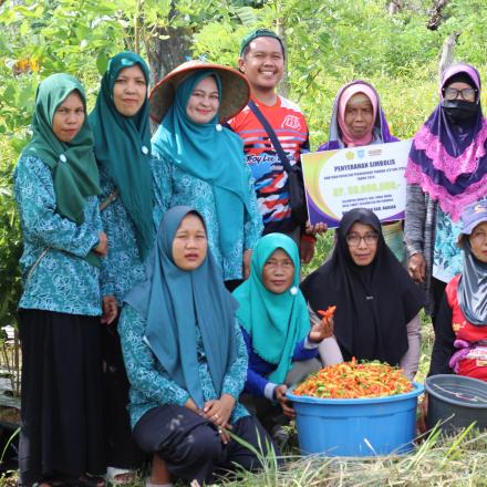 KWT Desa Takuti Rambah Sukses dengan Panen Cabai, Bupati Banjar Terkesan