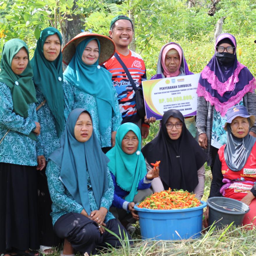 KWT Desa Takuti Rambah Sukses dengan Panen Cabai, Bupati Banjar Terkesan